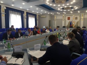 Ставропольский край. Проблему безнадзорных животных решают краевые парламентарии