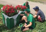 Томск. Бойцы городского студотряда  помогают заниматься благоустройством территорий