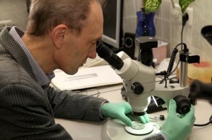 «Парламентская газета». Каждый город сможет устраивать свои выставки драгоценных камней