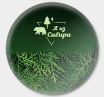 СФО. Утвержден план реализации стратегии развития Сибири