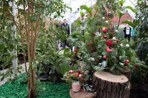 Красноярск. В столице Красноярья открылась первая публичная городская оранжерея