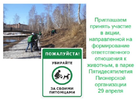 Акция собаки Петрозаводск.jpg